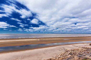 Baharda Ob Nehri kıyısında. Berdsk, Novosibirsk Bölgesi, Batı Sibirya Rusya