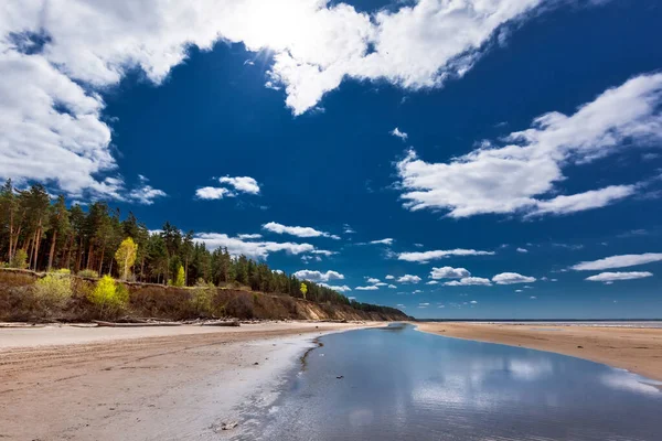 Die Küste Des Frühling Berdsk Gebiet Nowosibirsk Westsibirien Von Russland — Stockfoto