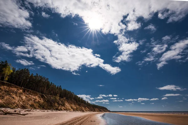 Die Küste Des Frühling Berdsk Gebiet Nowosibirsk Westsibirien Von Russland — Stockfoto