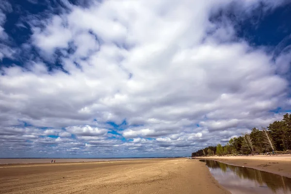 Pobřeží Řeky Jaře Berdsk Novosibirsk Region Západní Sibiř Ruska — Stock fotografie