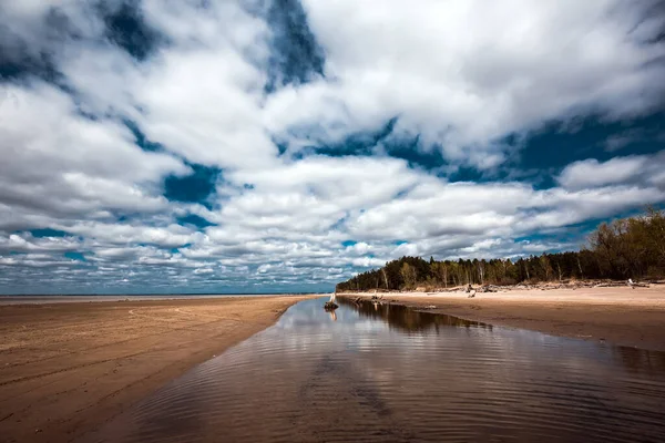 Die Küste Des Frühling Berdsk Gebiet Nowosibirsk Westsibirien Von Russland — Stockfoto