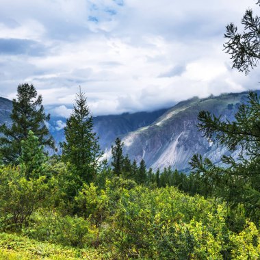 Chulyshman Nehir Vadisi yakınlarındaki Chulyshman dağlarının manzarası. Ulagansky bölgesi, Altai Cumhuriyeti, Batı Sibirya 'nın güneyi, Rusya
