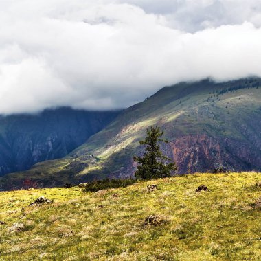 Chulyshman Dağları, Chulyshman Nehri Kanyonu 'nda. Ulagansky Bölgesi, Altai Cumhuriyeti, Rusya