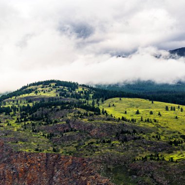 Chulyshman Dağları, Chulyshman Nehri Kanyonu 'nda. Ulagansky Bölgesi, Altai Cumhuriyeti, Rusya