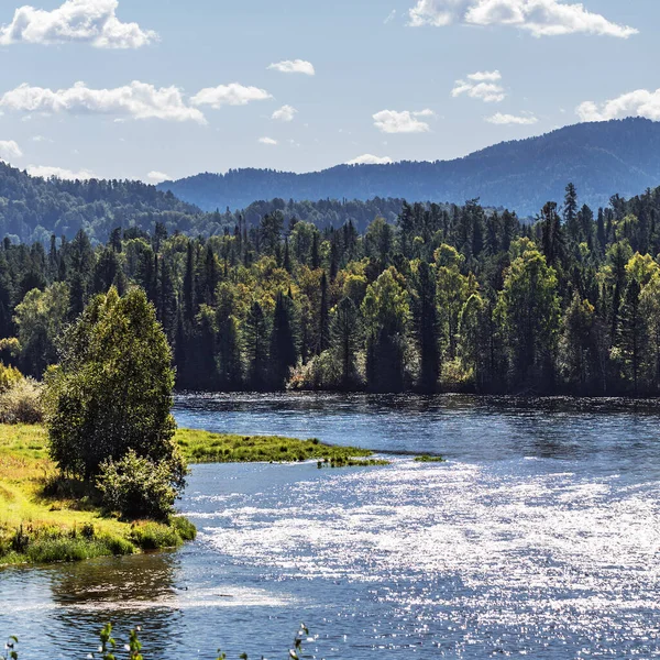 Biya River Surrounded Mountains Covered Taiga Altai Republic Turochaksky District — Stock Photo, Image