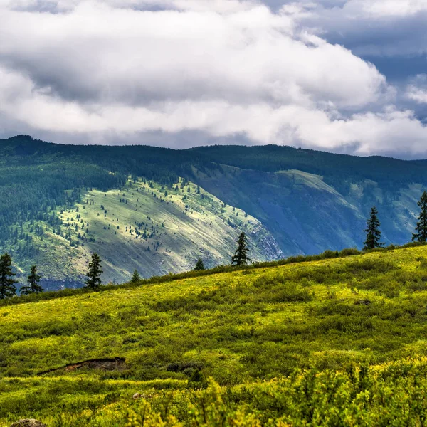 Tierras Altas Chulyshman Cañón Del Río Chulyshman Ulagansky District Altai —  Fotos de Stock