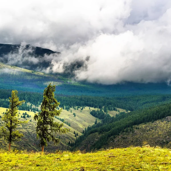 Chulyshman Dağları Chulyshman Nehri Kanyonu Nda Ulagansky Bölgesi Altai Cumhuriyeti — Stok fotoğraf