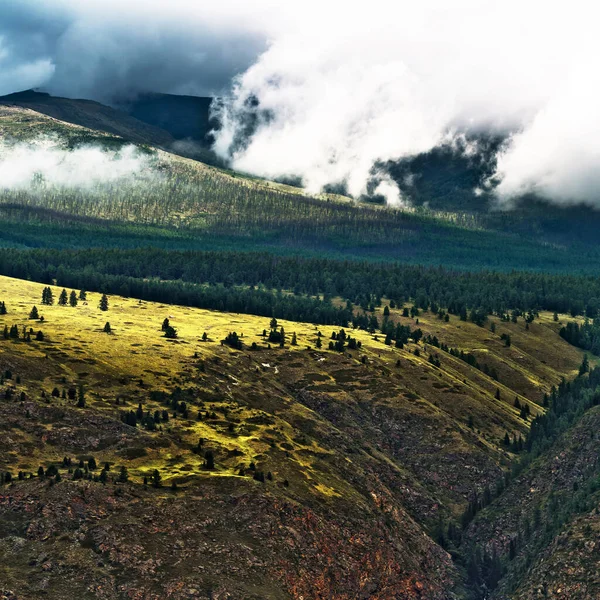 Chulyshman Dağları Chulyshman Nehri Kanyonu Nda Ulagansky Bölgesi Altai Cumhuriyeti — Stok fotoğraf