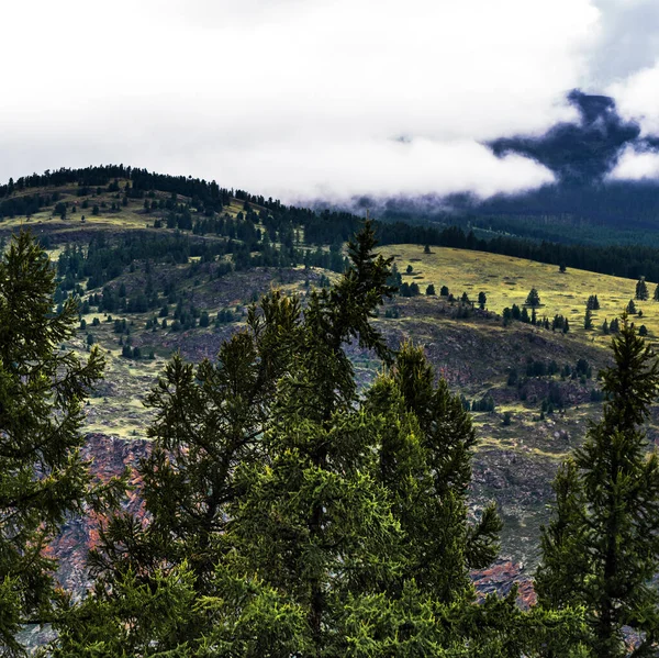 Tierras Altas Chulyshman Cañón Del Río Chulyshman Ulagansky District Altai —  Fotos de Stock