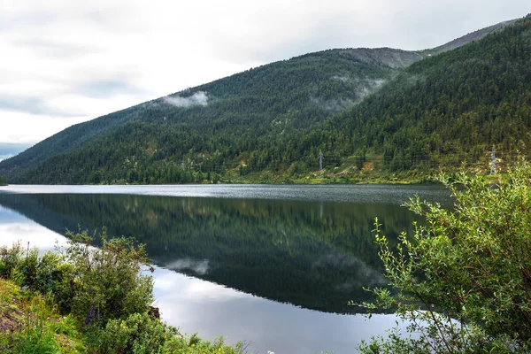 Jezioro Cheybekkel Jest Otoczone Górami Iglastą Tajgą Dystrykt Ulagan Republice Obrazy Stockowe bez tantiem