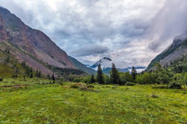Chui Nehri 'nin dağlar arası vadisi. Gorny Altai 'nin Ongudaysky ilçesi, Rusya