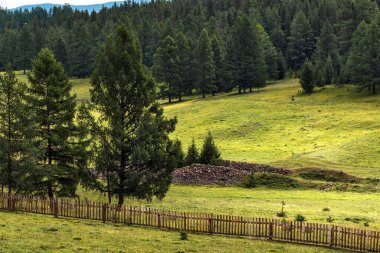 Pazyryk mezarları İskitler 'in höyükleridir. Tumulus tepecikleri. Altai Cumhuriyeti 'nin Ulagan ilçesi