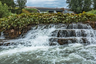 Suenginsky, Sueng Nehri üzerinde şelaleyi taşırdı. Novosibirsk bölgesinin Maslyaninsky ilçesi, Batı Sibirya, Rusya