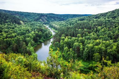 Berd Nehri bir dağ vadisinde akan taygayla çevrilidir. Iskitimsky bölgesi, Novosibirsk bölgesi, Batı Sibirya Rusya