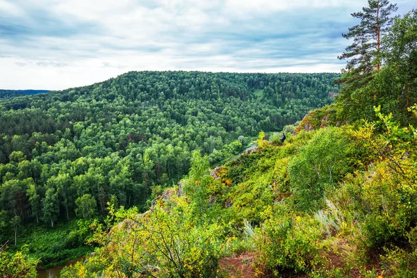 Río Berd Está Rodeado Taiga Que Fluye Través Valle Montaña — Foto de Stock