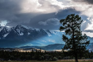 Karla kaplı tepeleri olan Kuzey Chui dağ sırasının akşam manzarası. Altai Cumhuriyeti, Kosh-Agachsky bölgesi, Kurai köyü yakınlarında.