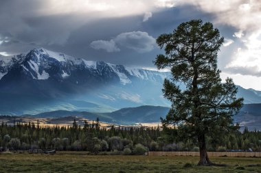 Karla kaplı tepeleri olan Kuzey Chui dağ sırasının akşam manzarası. Altai Cumhuriyeti, Kosh-Agachsky bölgesi, Kurai köyü yakınlarında.
