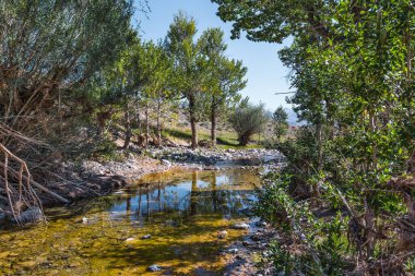 Kyzyl-Chin nehrinin kurumuş yatağı. Altai Cumhuriyeti 'nin Kosh-Agachsky ilçesi Chagan-Uzun köyünün çevresi, Rusya