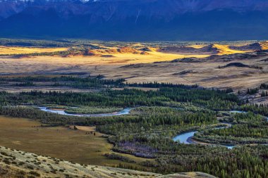 Kuzey Chuya sırtı yakınlarında kozalaklı ormanı olan Chuya Nehri. Altai Cumhuriyeti Kosh-Agachsky Bölgesi, Güney Sibirya, Rusya