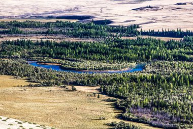 Kuzey Chuya sırtı yakınlarında kozalaklı ormanı olan Chuya Nehri. Altai Cumhuriyeti Kosh-Agachsky Bölgesi, Güney Sibirya, Rusya