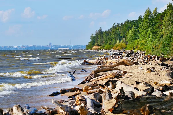 Siberia, río Ob — Foto de Stock