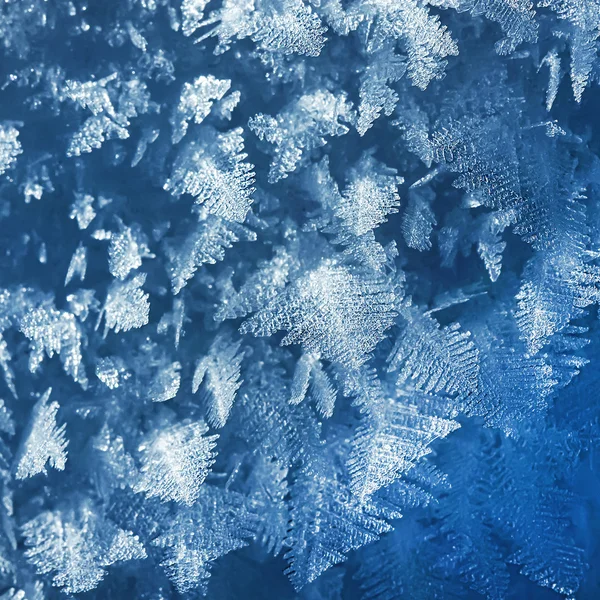 Ice crystals — Stock Photo, Image