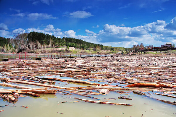 Siberia, the river Split.Spring flooding on the river.A large number of trunks of dead trees arrives together with the rise of the water