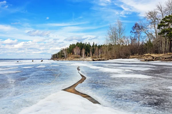 Spring. Siberia, river Ob — Stock Photo, Image