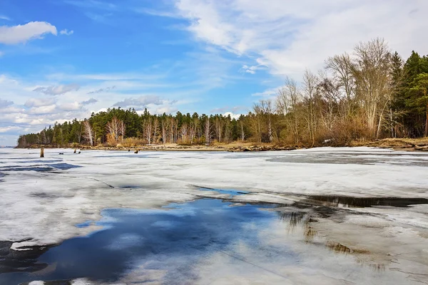 Spring. Siberia, river Ob — Stock Photo, Image