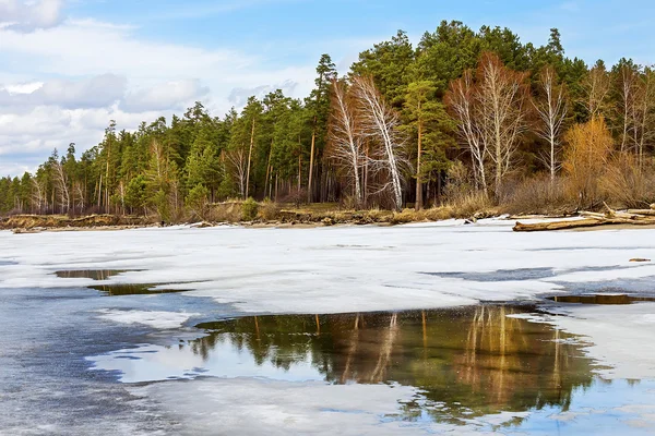 Spring. Siberia, river Ob — Stock Photo, Image