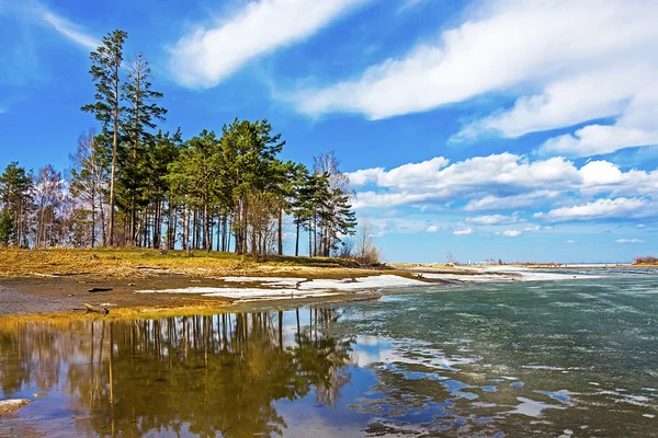 Spring. Siberia, river Ob — Stock Photo, Image