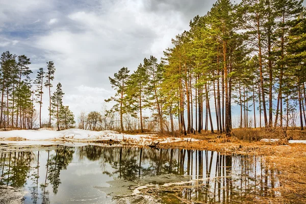 Spring. Siberia, river Ob — Stock Image Spring. Siberia, river Ob Royalty Free Stock Photos