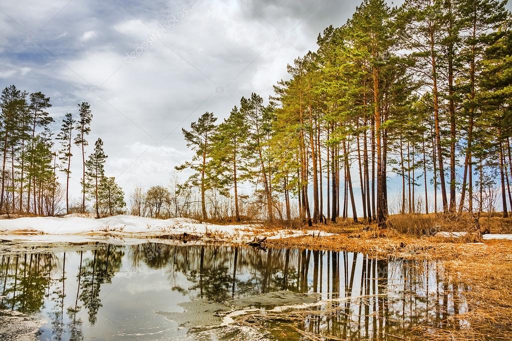 Новосибирск Весна Фото Новосибирск Весна Фото