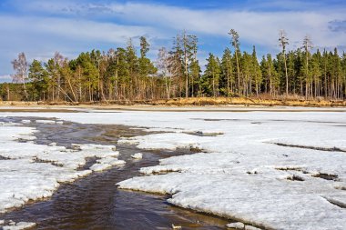 Bahar Ob Nehri üzerinde
