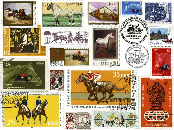 Horses. A collage from stamps and stamps of the countries of the world