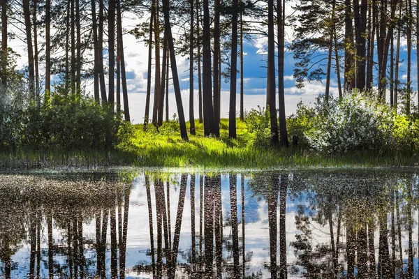 Paisagem Primavera — Fotografia de Stock