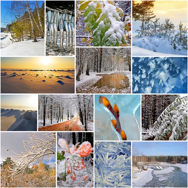 Winter Collage Stock Photo by ©icefront 5592262