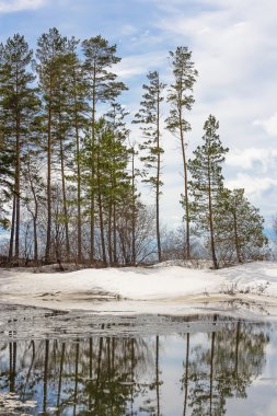 Bahar, yatay bir göl. Rusya, Sibirya, Novosibirsk bölgesi