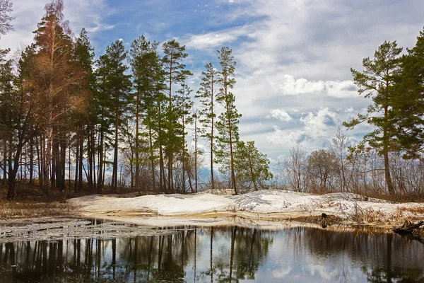 Wiosnę krajobraz nad rzeką — Zdjęcie stockowe