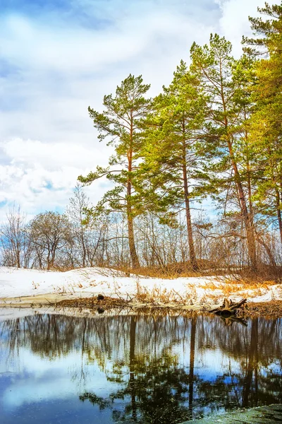 Spring landscape with a lake. Russia, Siberia, Novosibirsk region — Stock Image Spring landscape with a lake. Russia, Siberia, Novosibirsk region Stock Image