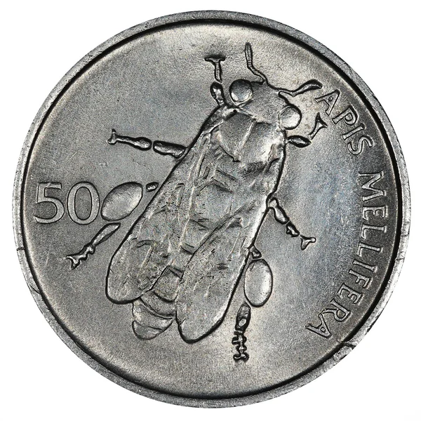 Insekt - honungsbinas närbild — Stockfoto