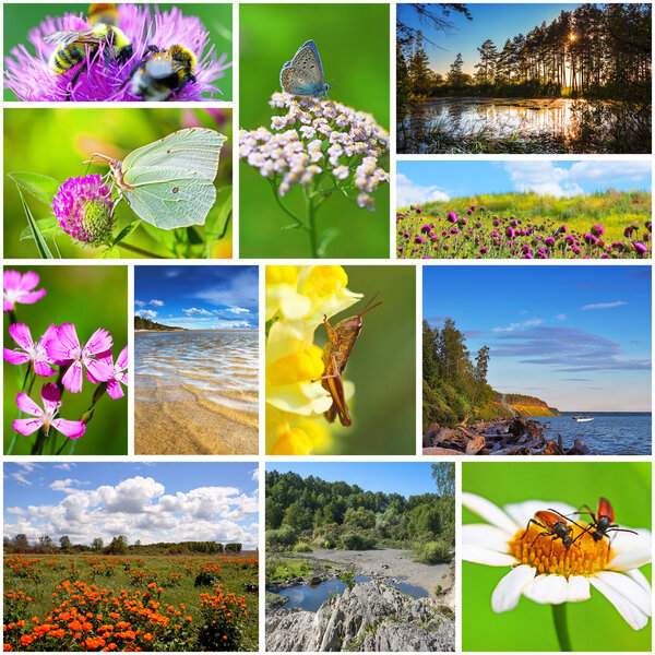 Collage on the theme of summer