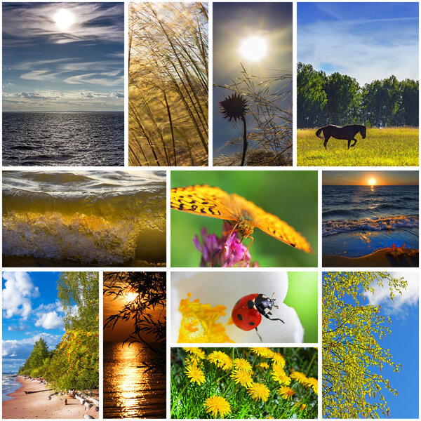 Collage on the theme of summer