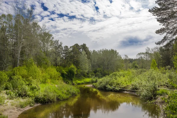 Rivier Saltymakovketen zomer — Stockfoto