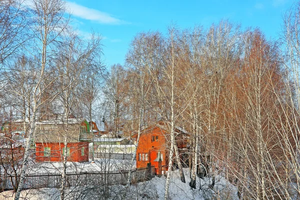 Rússia Sibéria Região Novosibirsk Berdsk Janeiro 2016 Sociedade Jardim Com — Fotografia de Stock