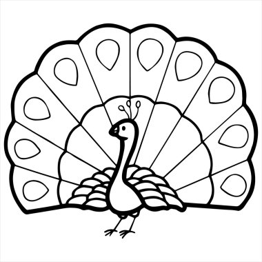 şirin tavus kuşu