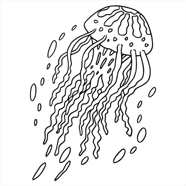 Jelly fish cartoon illustration isolated on white — Stock Vector