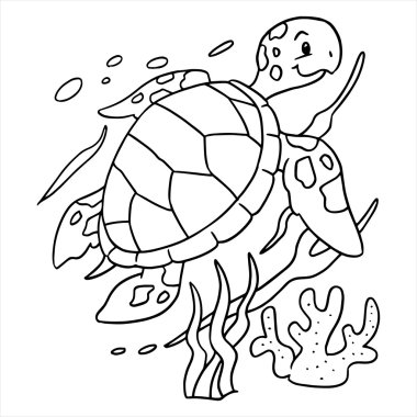 altında su kaplumbağası çizimi