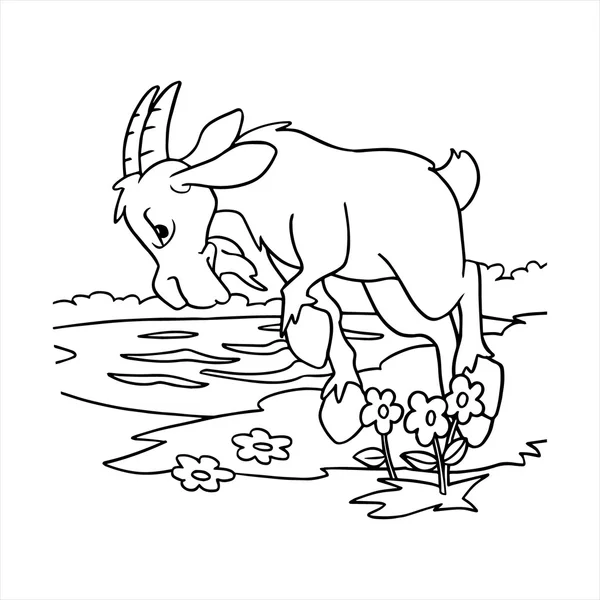 Illustrazione cartone animato capra isolato su bianco — Vettoriale Stock