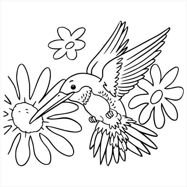 Humming pássaro desenho animado ilustração isolada no branco —  Vetores de Stock